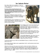 Indischer-Elefant-Steckbrief.pdf